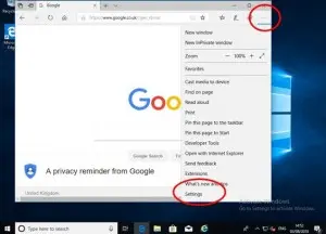 Set Edge to use Google Search 1